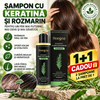 KeratX - Sampon cu Rozmarin Anti-Cadere si Regenerare + 1 Cadou