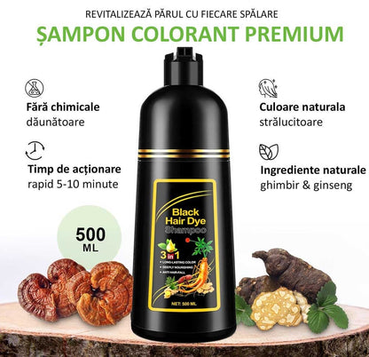 PărTânăr™ Șampon 3 în 1 Colorarea Părului + 1 Cadou